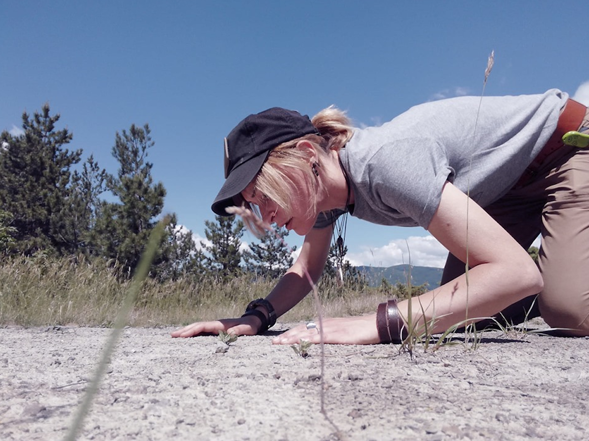 Ms Kyt Lyn Walken - The Way Of Tracking