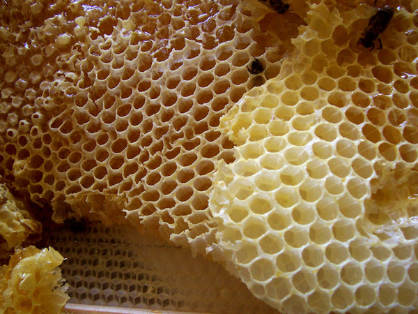 The Power of Natural Honey