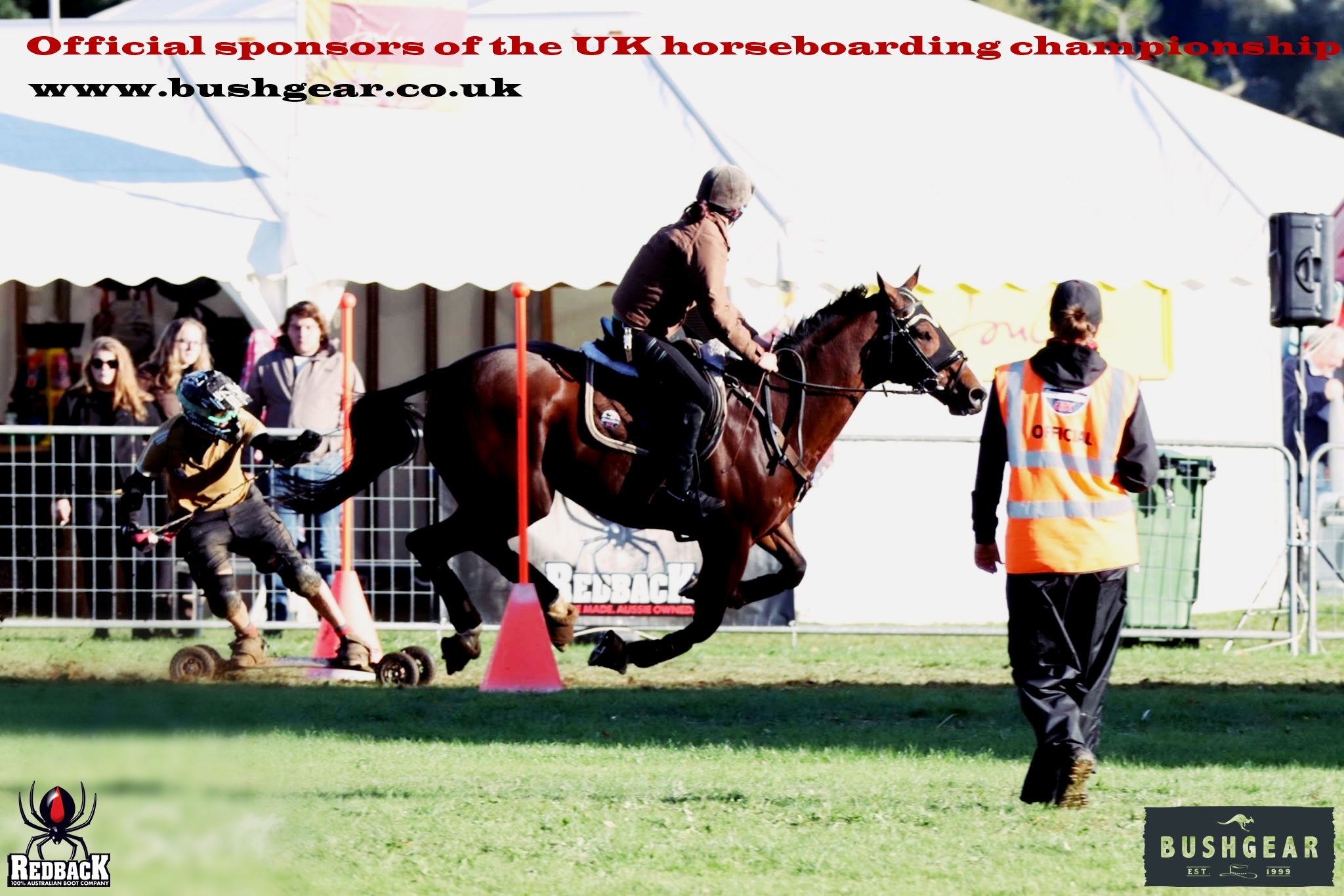 Horseboarding - it's all the rage these days!