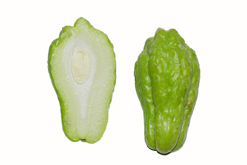 Tropical Wild Edibles - The Cho-Cho Fruit