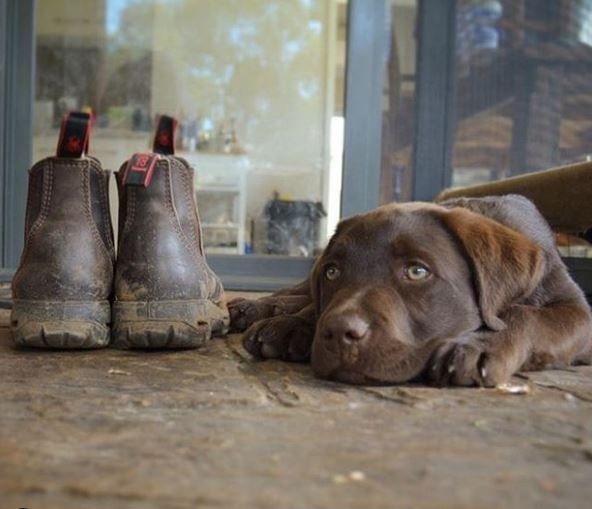 All Footwear