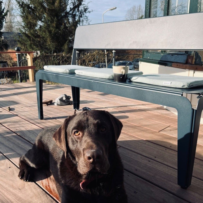 Lifestyle shot of bended cushions on bended bench with backrest  with Labrador in the forefront 