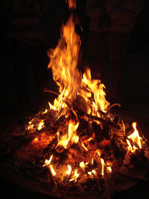 The Importance of Fire in Wilderness Living