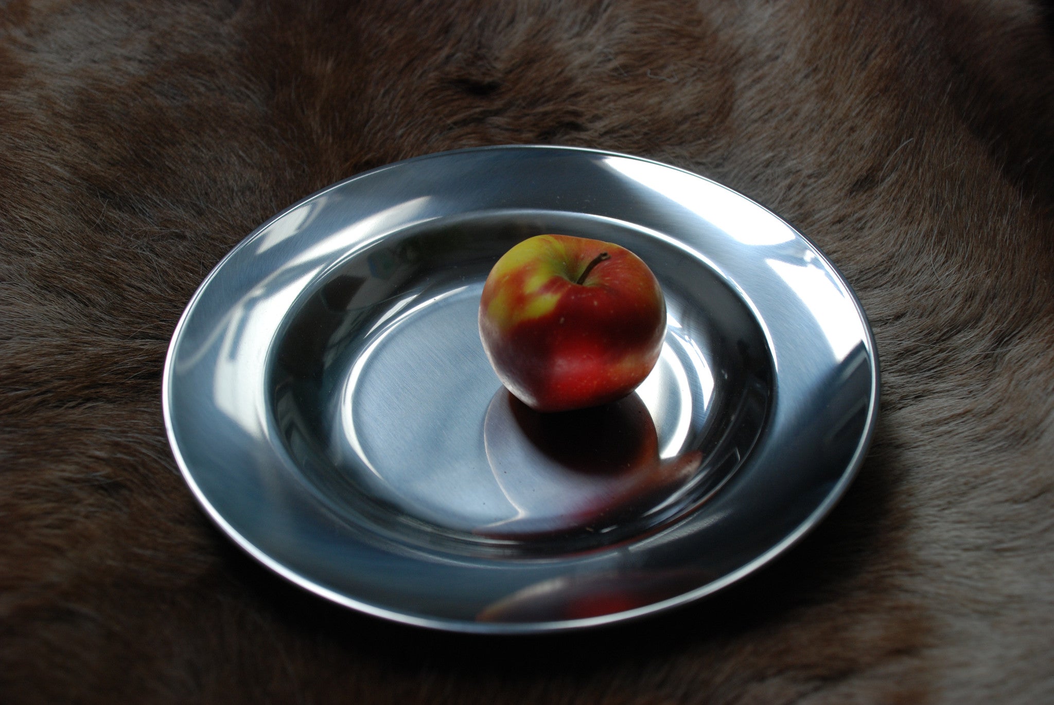 Zebra Stainless Steel Plate - 20cm