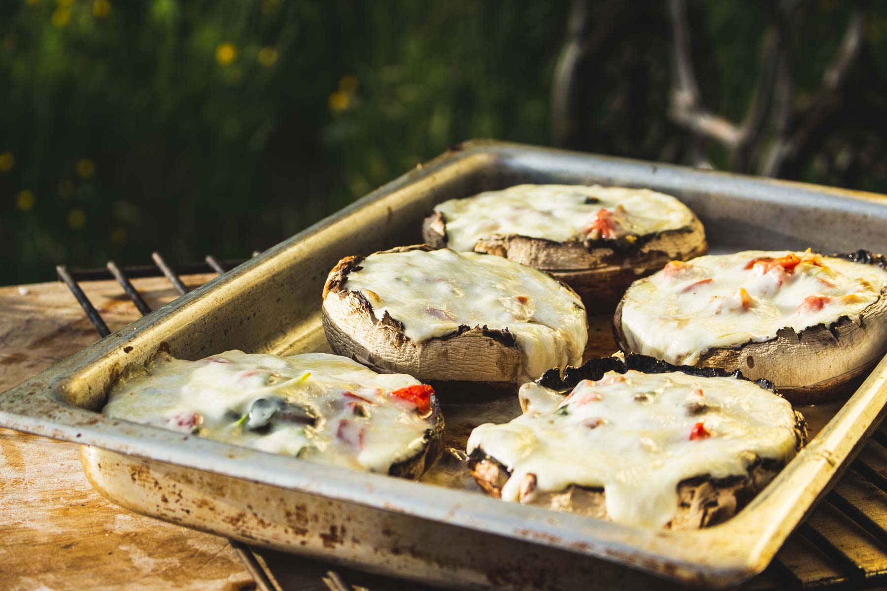 Faster Greta Pizza Oven by Hikki of Sweden Outdoor